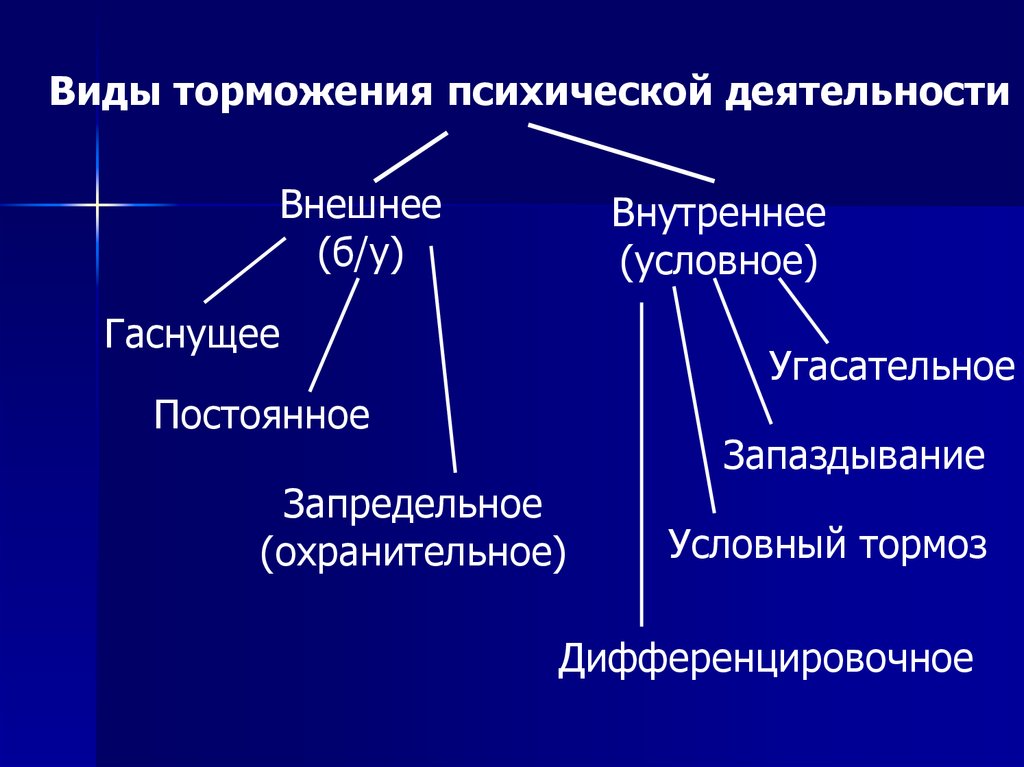 Внутреннее условное. Виды торможения. Виды торможения психической деятельности. Умственное торможение. Защитное торможение психики.