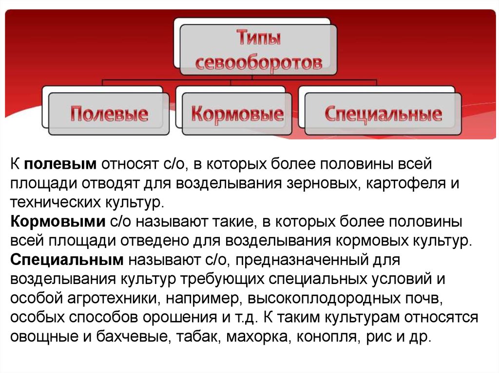 Специальная культура. Классификация севооборотов. Виды кормовых севооборотов. Полевые севообороты классификация. Понятие о севообороте.