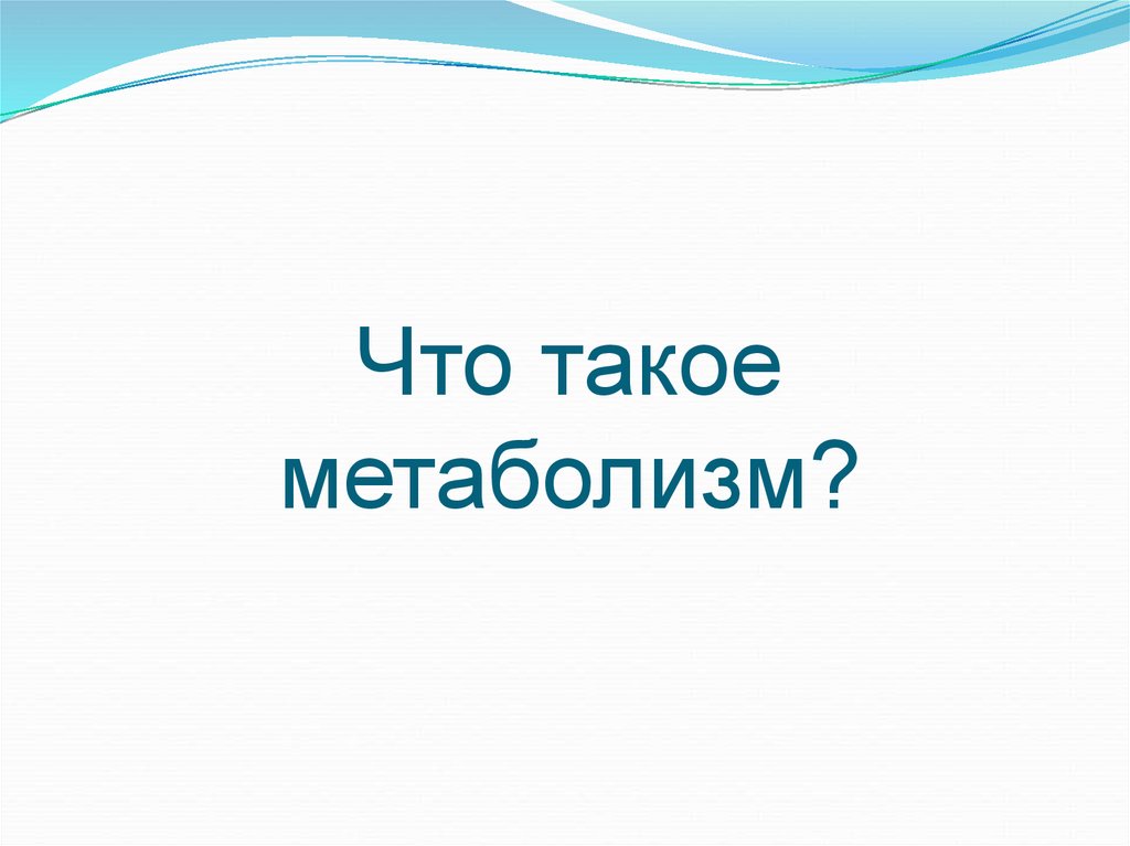 Что такое метаболизм?