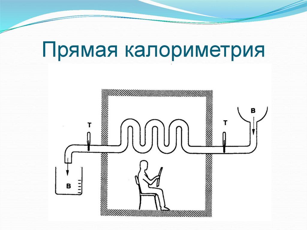 Прямая калориметрия