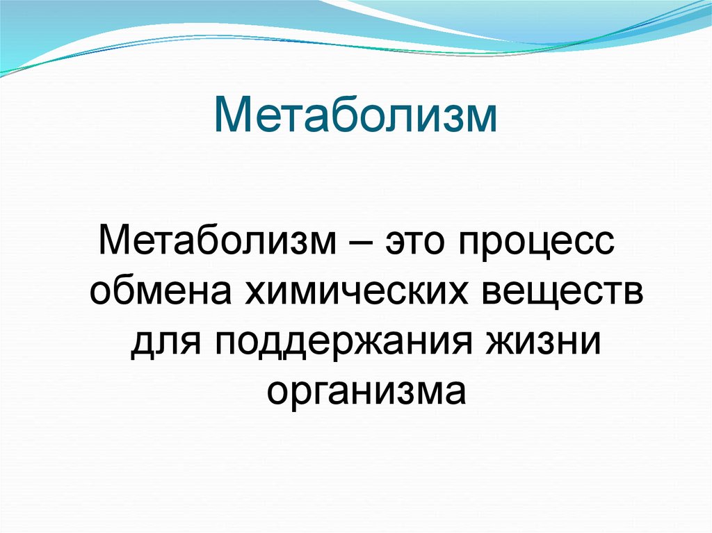 Основной обмен это. Обмен веществ простыми словами. Метаболизм. Что такое метаболизм простыми словами. Мет бол.