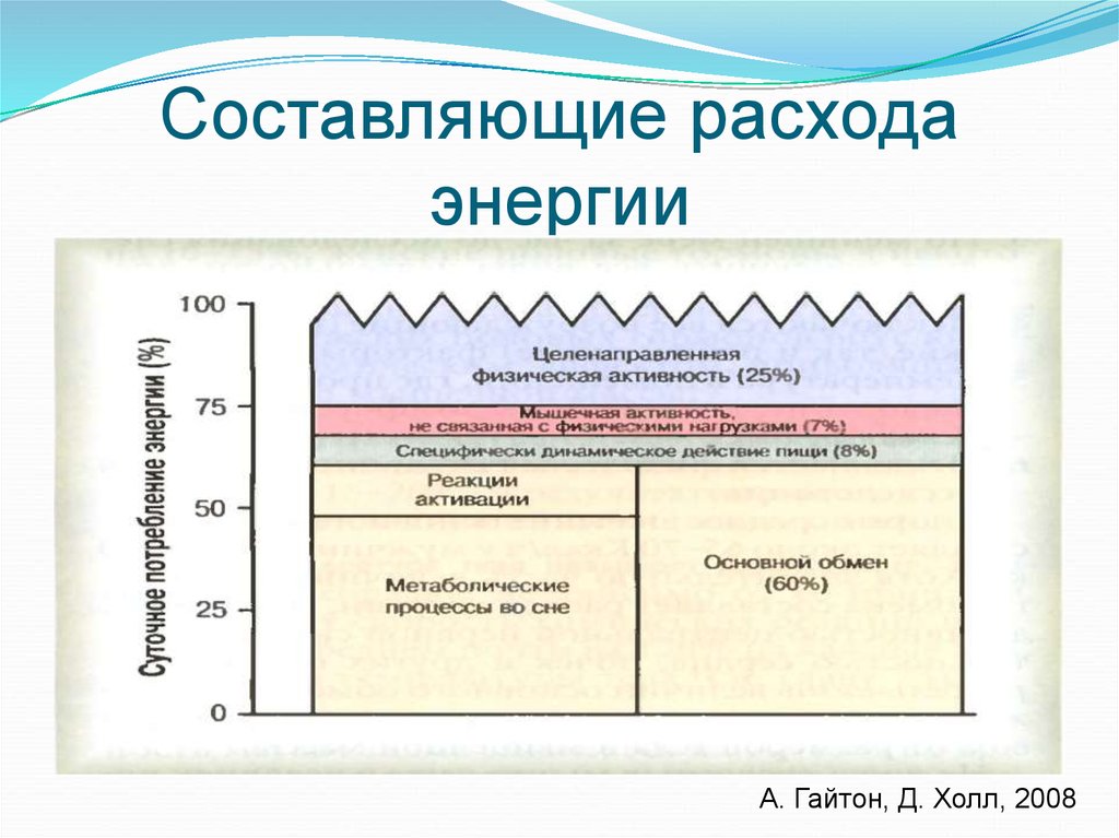 Составляющие расхода энергии человека. Образование и расход энергии это. Ткань с малыми затратами энергии.