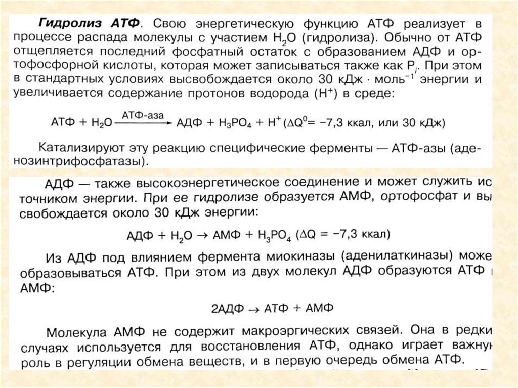 1 моль атф