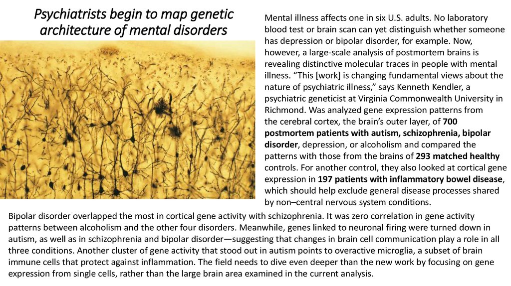 Psychiatrists begin to map genetic architecture of mental disorders