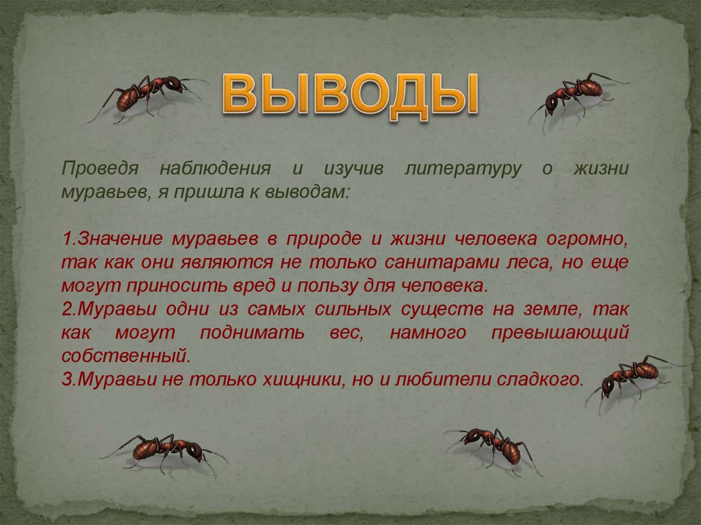 Муравьев годы жизни. + И - муравьёв в природе и жизни человека. Информация о жизни муравьёв. Значение муравьев в природе. Образ жизни муравьев.