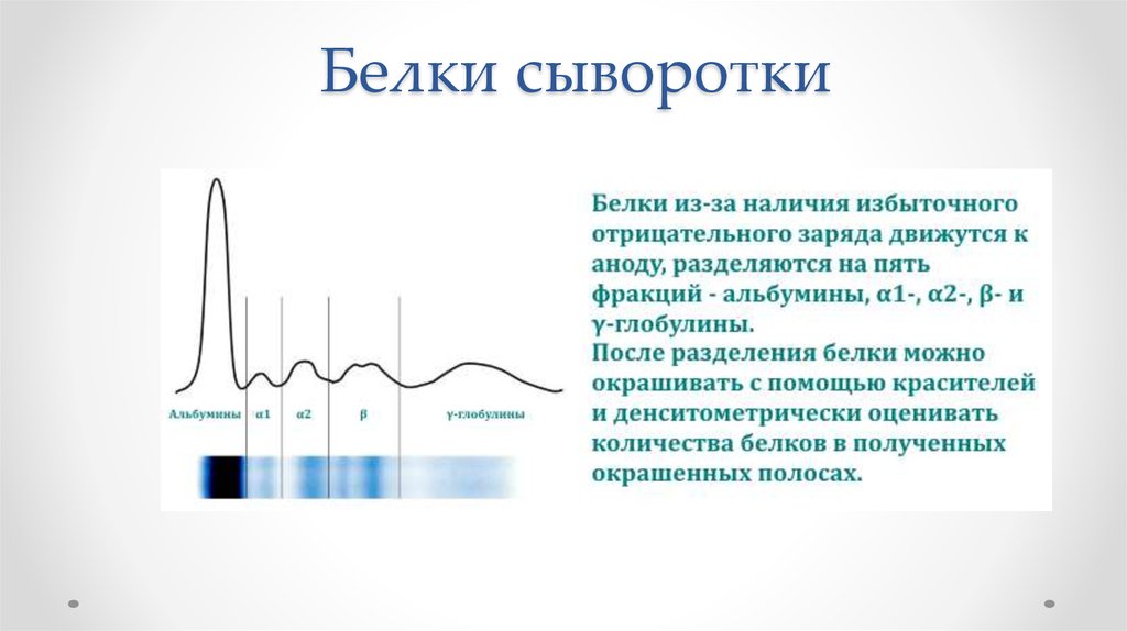 Имеет отрицательную