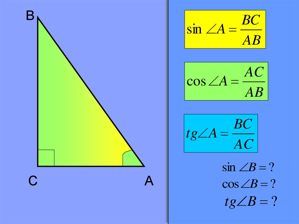 Ctg угла б. Sin cos TG В треугольнике. Sin cos TG В прямоугольном треугольнике. Синус. Син и кос в прямоугольном треугольнике.
