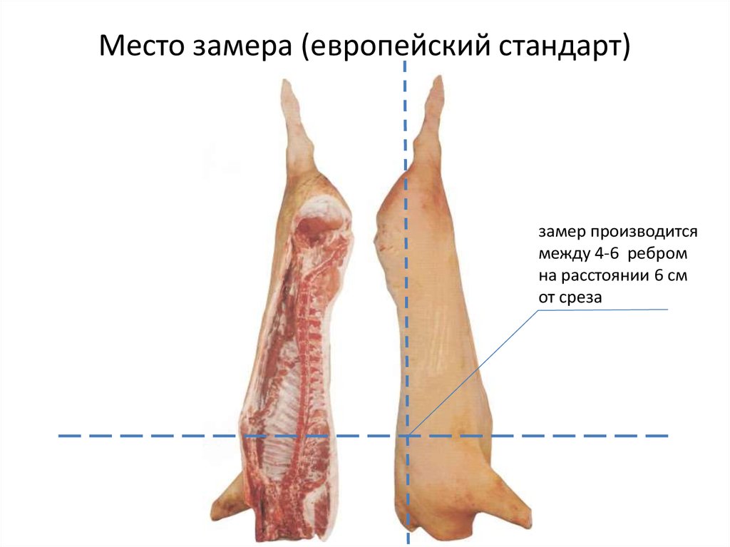 epub bioenergy biomass to biofuels