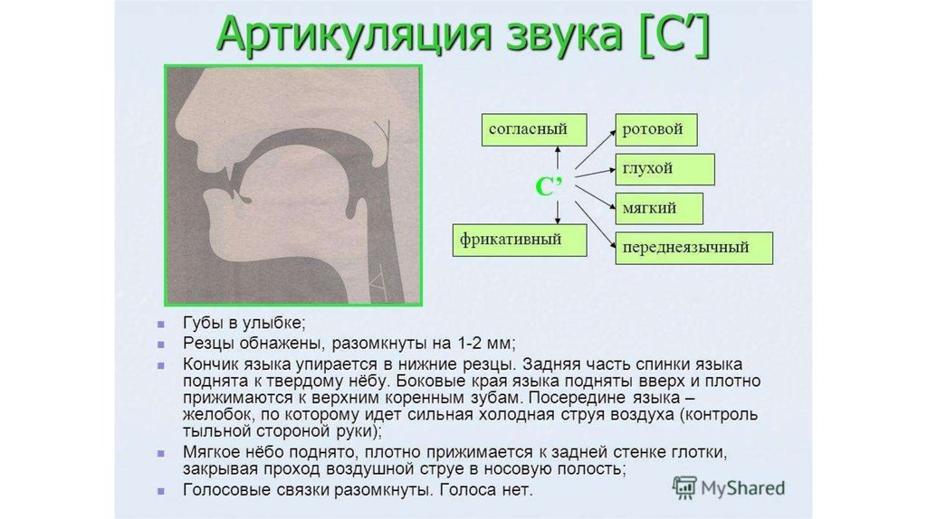 Картинка артикуляция звука р