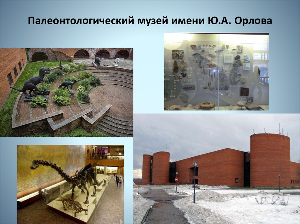 Палеонтологический музей имени Ю.А. Орлова