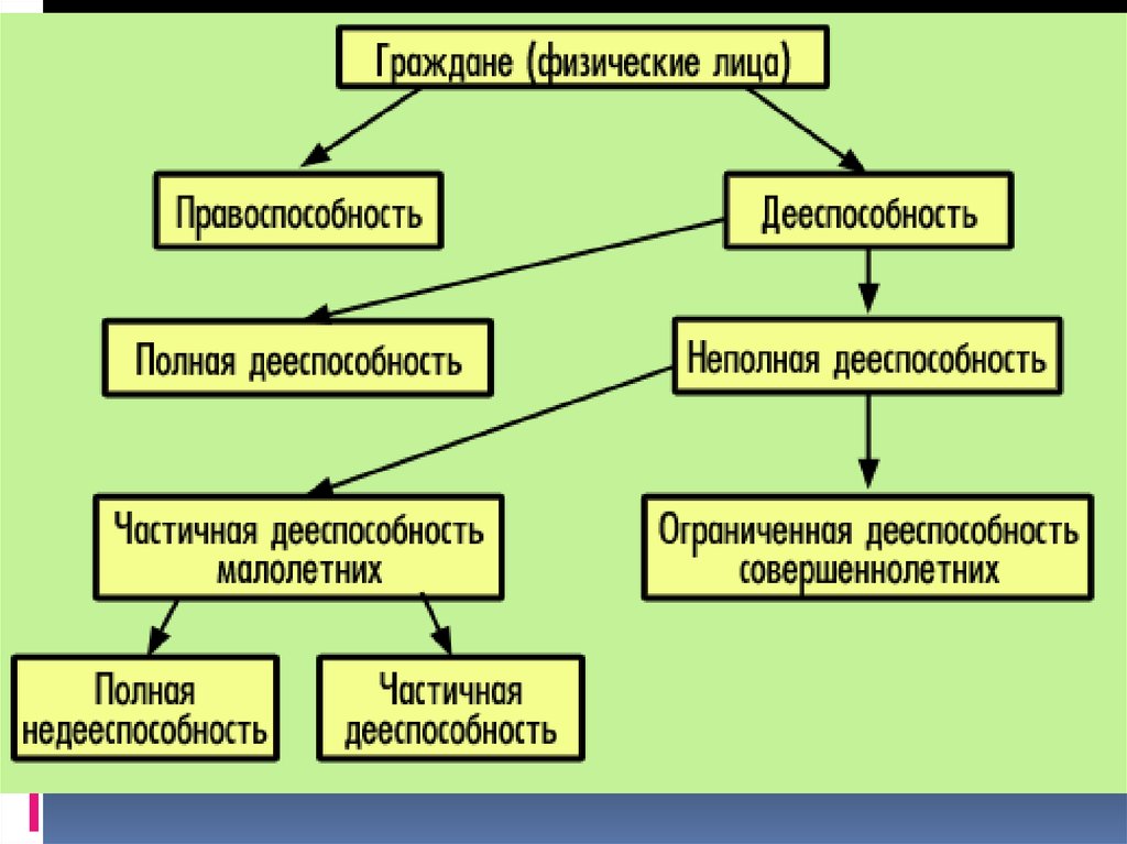 Схема физическое лицо