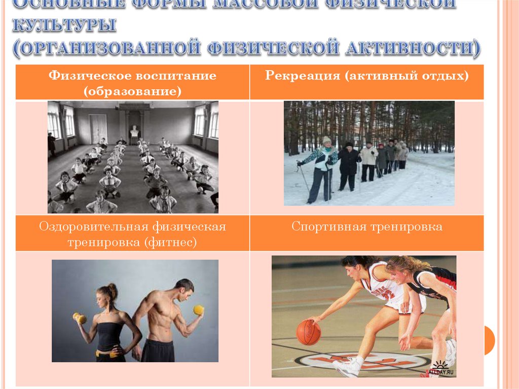 Основные формы массовой физической культуры (организованной физической активности)