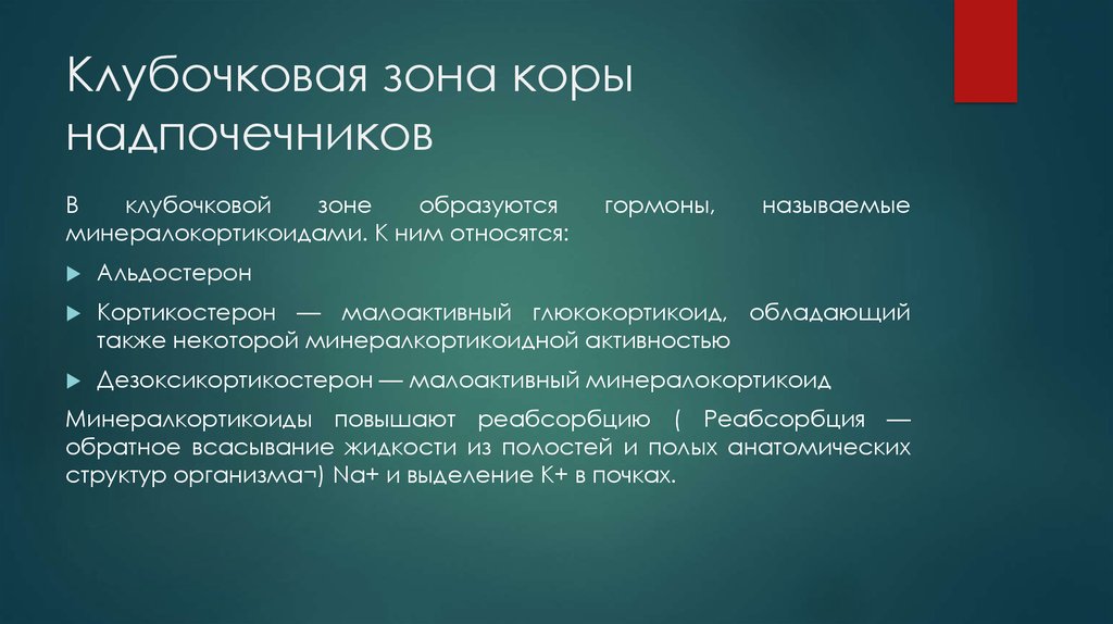 Гормон клубочковой зоны надпочечников