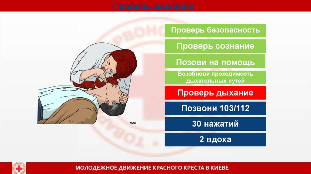 Позвать на помощь. ОБЖ проверка дыхания. Как проверить дышит ли человек. Проверить дыхание 3п.