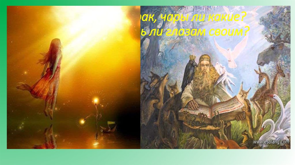 Что это? призрак, чары ли какие? Где мы? и верить ли глазам своим?