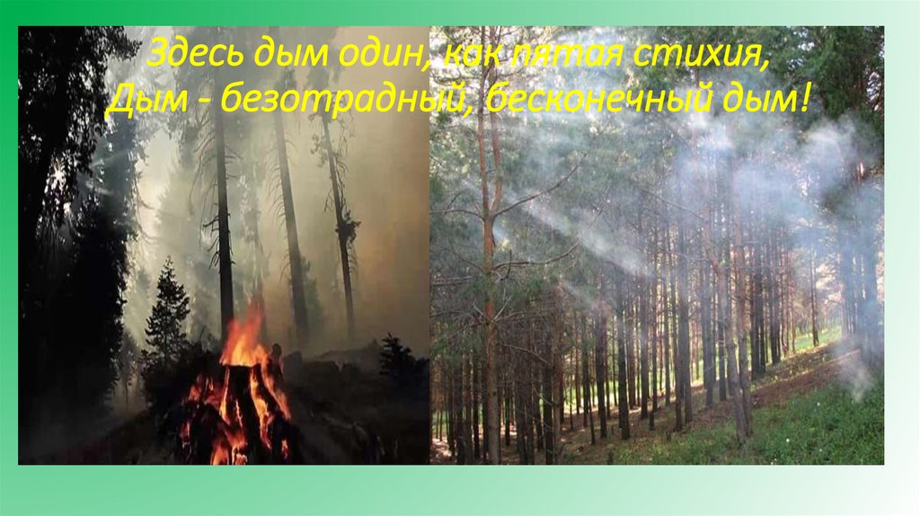 Здесь дым один, как пятая стихия, Дым - безотрадный, бесконечный дым!