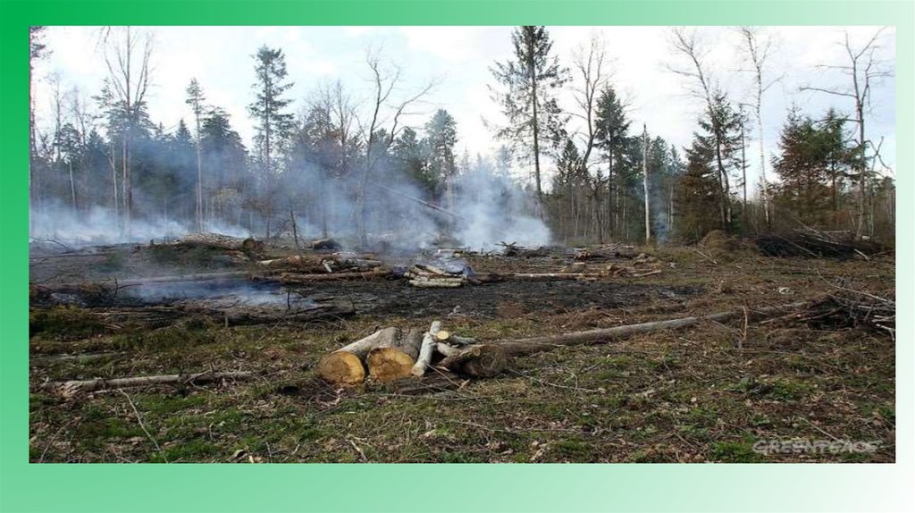 Случаи внезапного появления белого огня