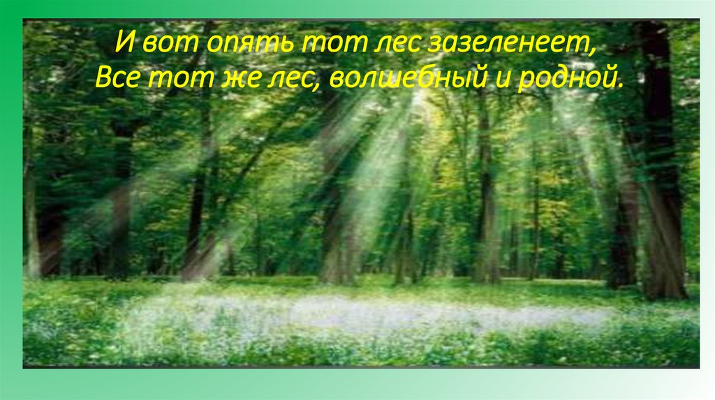 И вот опять тот лес зазеленеет, Все тот же лес, волшебный и родной.