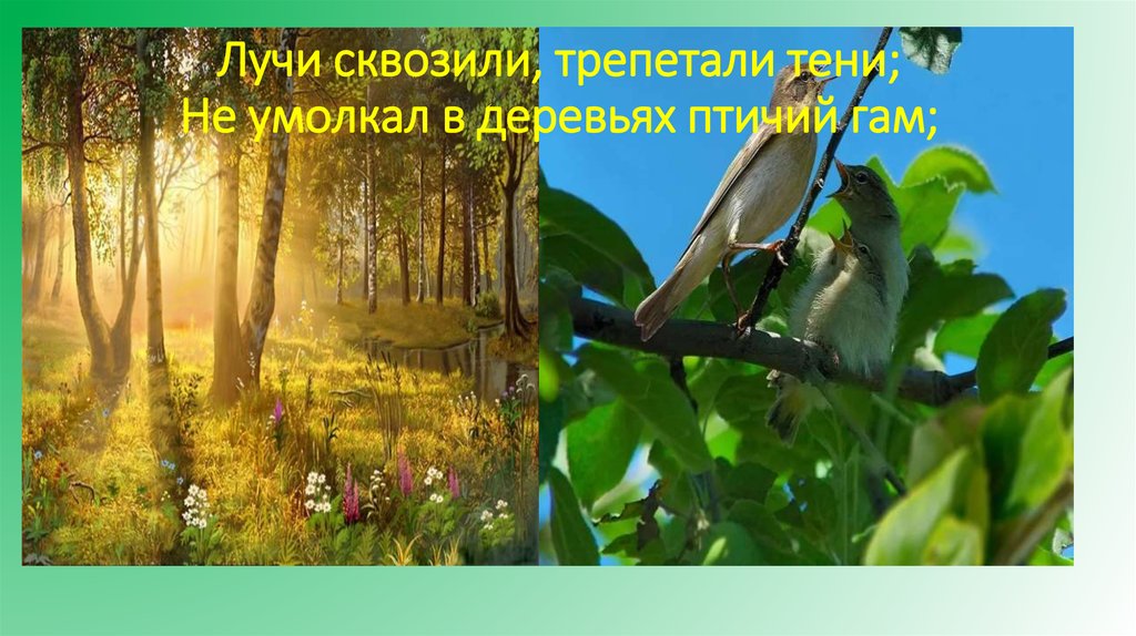 Лучи сквозили, трепетали тени; Не умолкал в деревьях птичий гам;