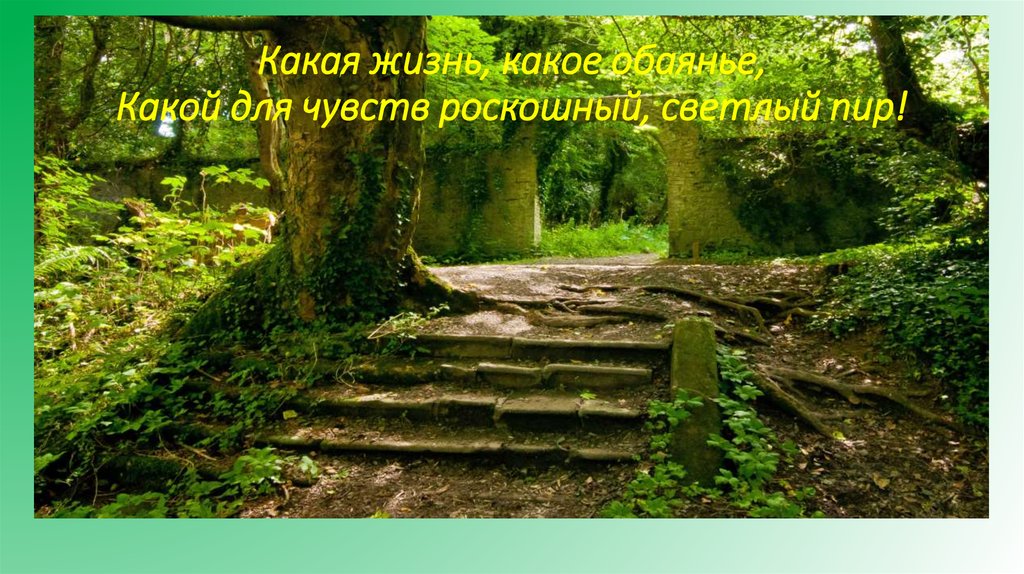 Какая жизнь, какое обаянье, Какой для чувств роскошный, светлый пир!