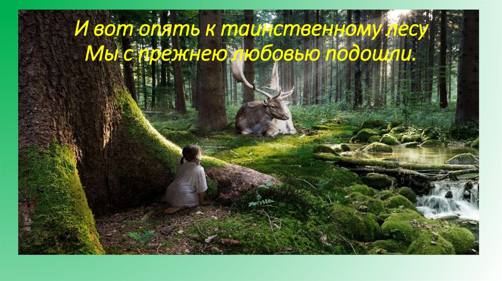 И вот опять к таинственному лесу Мы с прежнею любовью подошли.