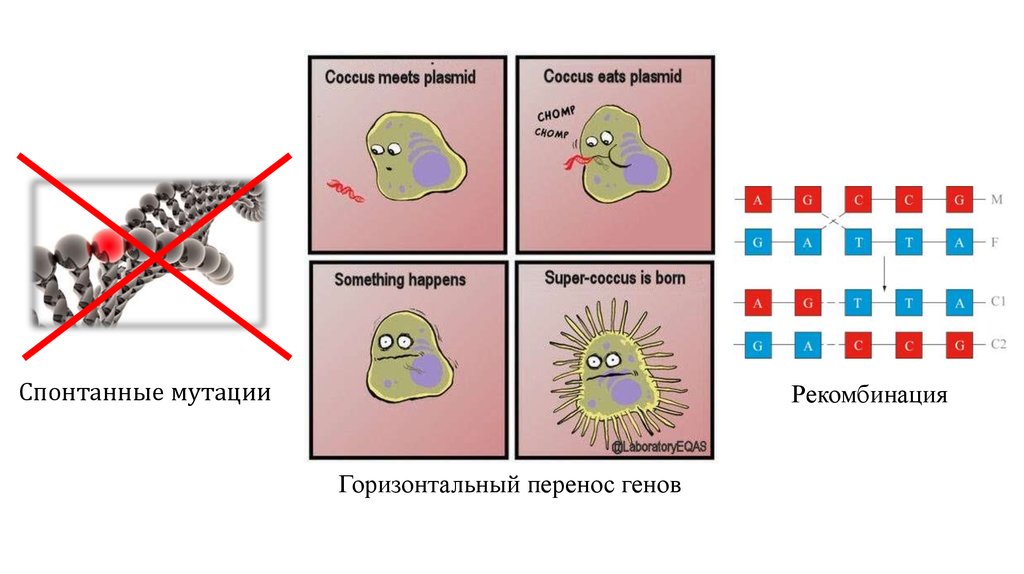 Спонтанная мутация. Спонтанные мутации примеры. Перенос генов мутации. Значение спонтанных мутаций в том что они. Картинки спонтанных и индуцированных мутаций.