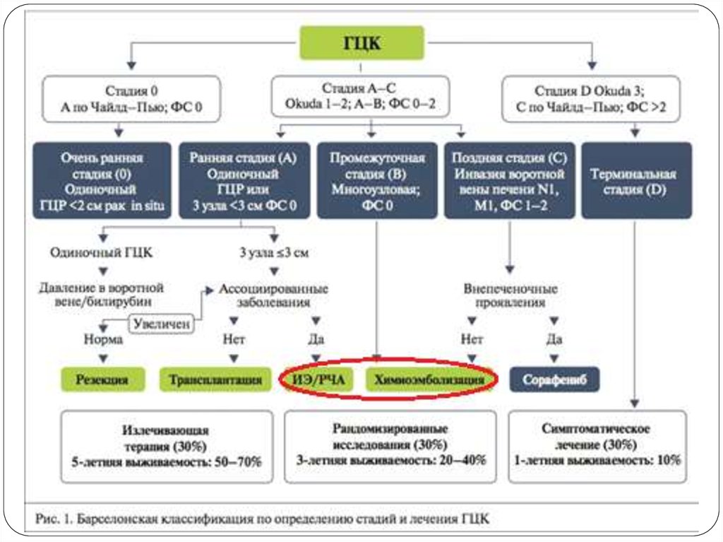 Гцр печени. BCLC классификация. Гепатоцеллюлярная карцинома TNM. Классификация ГЦР BCLC.