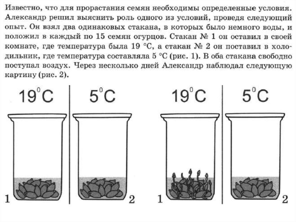 Пользуясь рисунком 135 расскажите содержание опытов на основании которых были