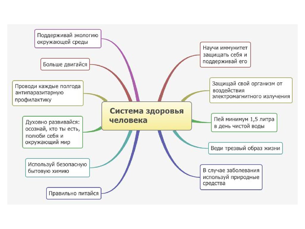 Карта здорового образа жизни после заполнения находится