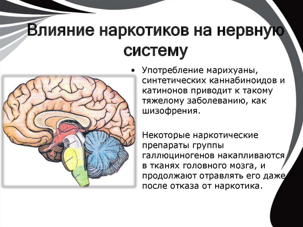 как наркотики влияет на мозга