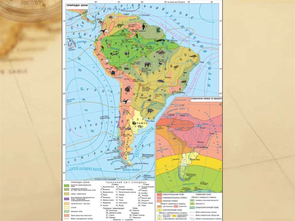 Нанесите на контурную карту природные зоны сша. Карта природных зон Южной Америки. Природные зоны Южной Америки. Карта природных зон Южной Америки 7 класс. Атлас 7 класс география Южная Америка природные зоны.