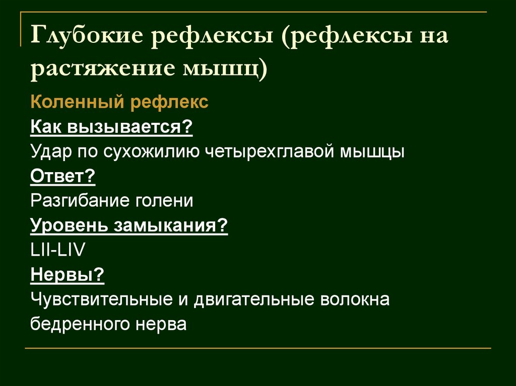 Глубокие рефлексы (рефлексы на растяжение мышц)
