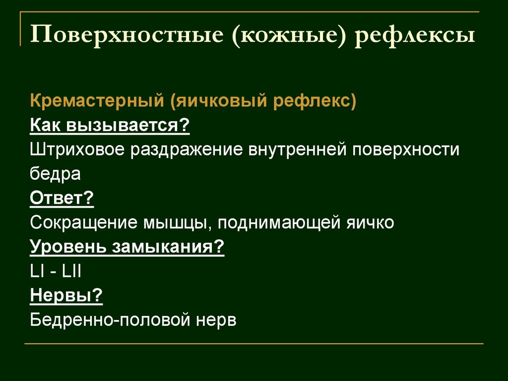 Сухожильные и кожные рефлексы их значение. Глубокие сухожильные рефлексы неврология. Ритмические рефлексы спинного. Сухожильные и кожные рефлексы их значение. Моносинаптические рефлексы физиология.
