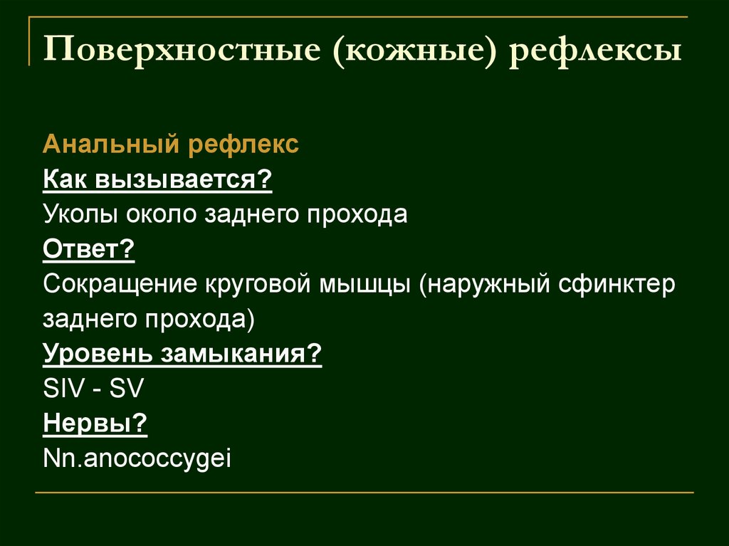 Поверхностные (кожные) рефлексы
