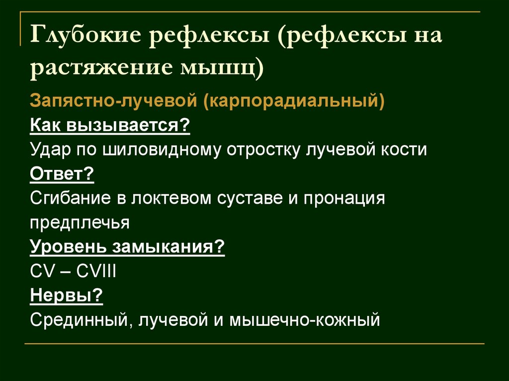 Глубокие рефлексы (рефлексы на растяжение мышц)