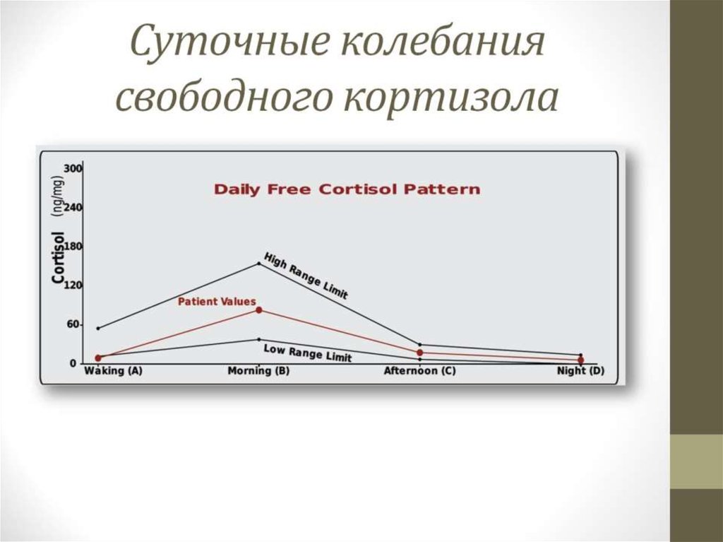 Суточные колебания. Суточное колебание кортизола. Флуктуации суточные. Что такое суточное колебание?.