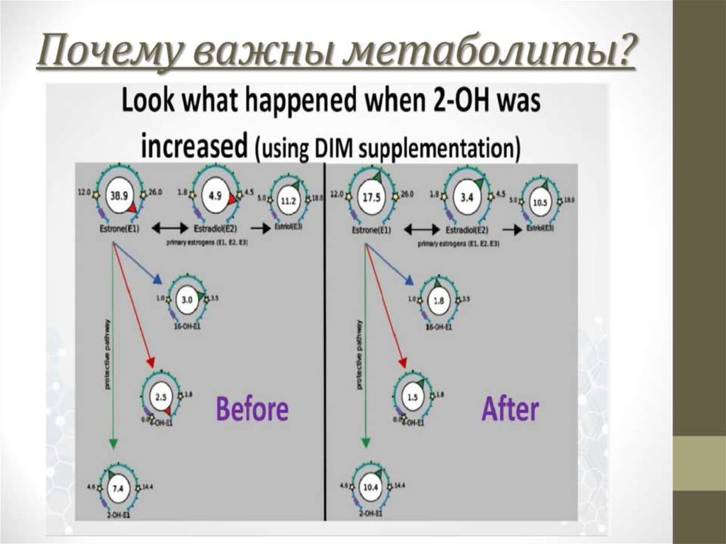 Почему важны метаболиты?