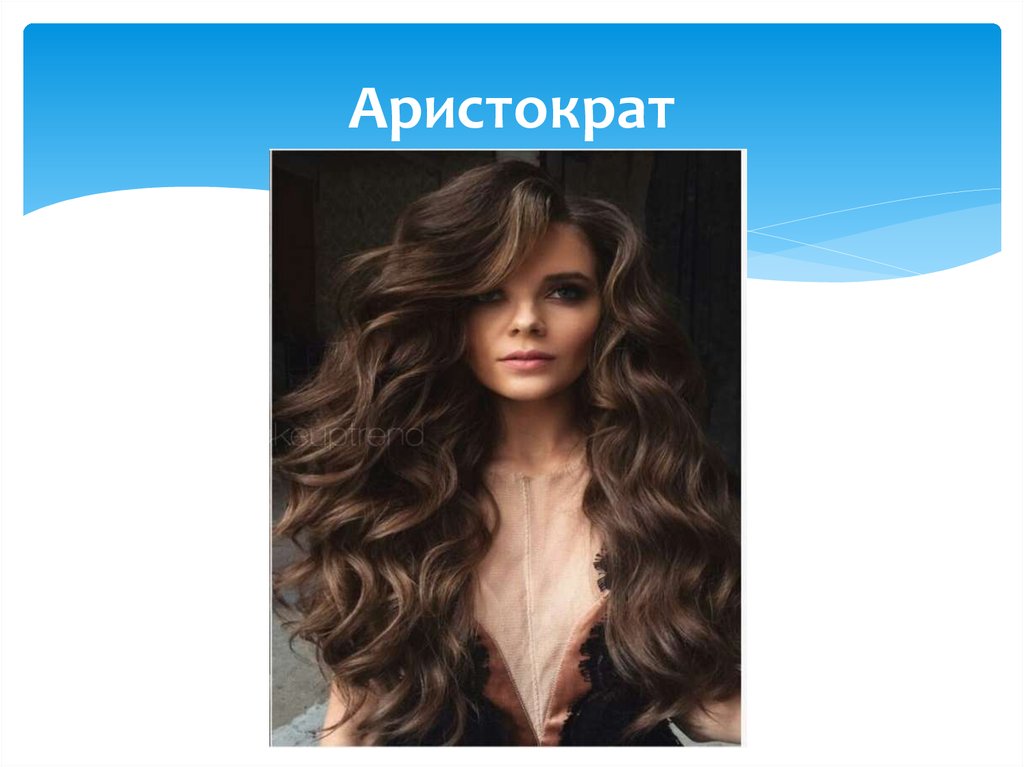 Аристократ