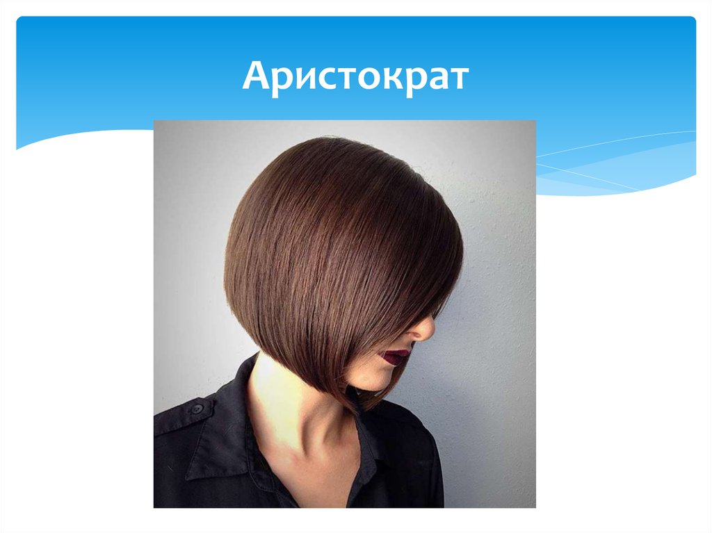 Аристократ