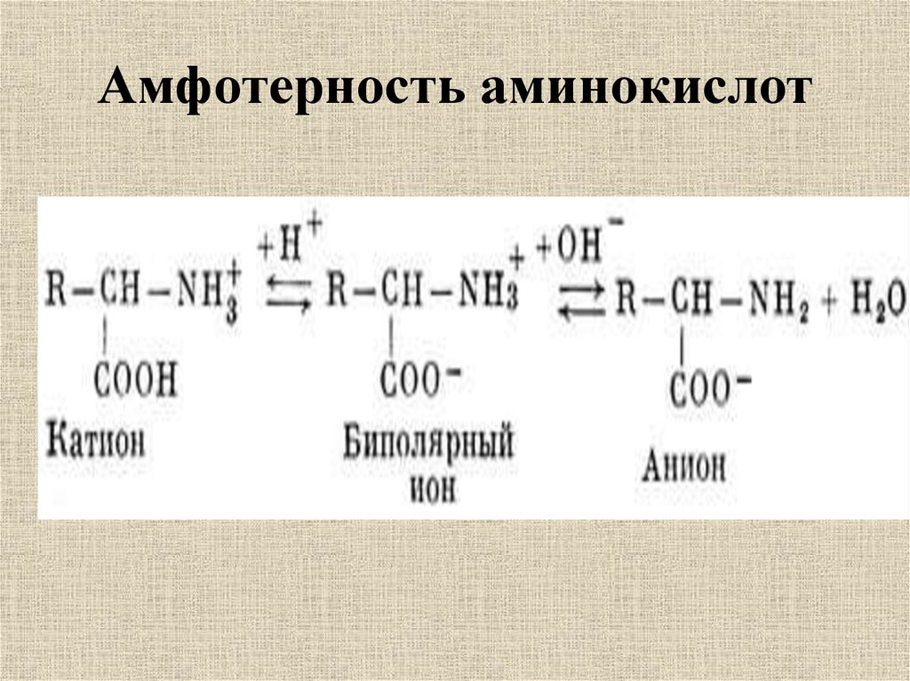 Изобразите схему образования биполярных ионов на примере аланина серина