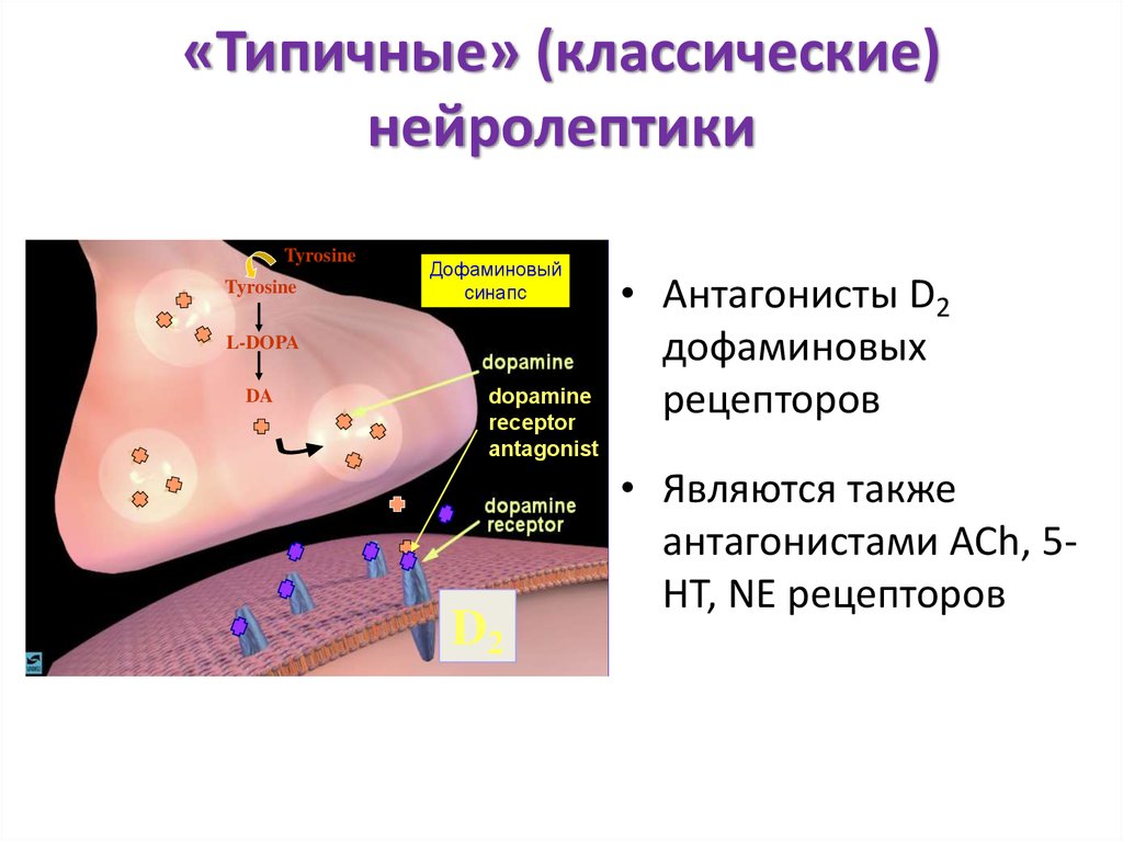 Как слезть с нейролептиков схема