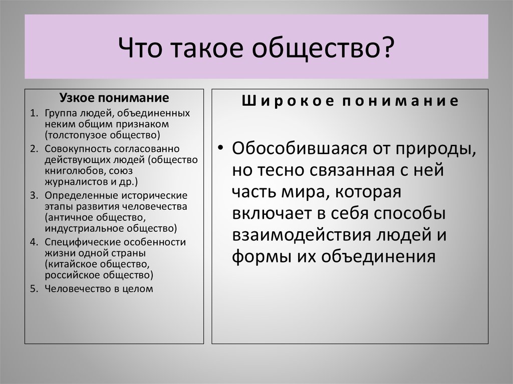 План строение общества элементы и подсистемы