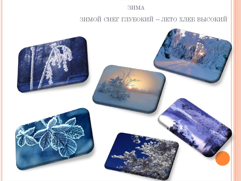 зима зимой снег глубокий – лето хлеб высокий