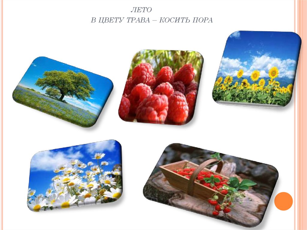 лето в цвету трава – косить пора