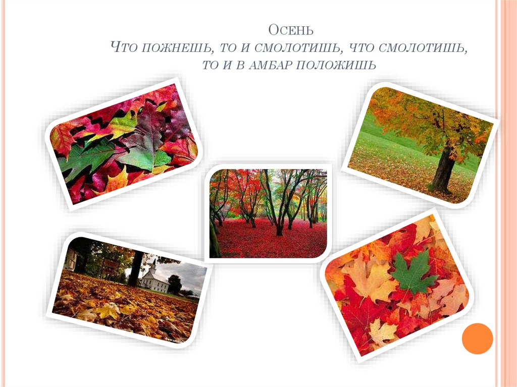 Осень Что пожнешь, то и смолотишь, что смолотишь, то и в амбар положишь