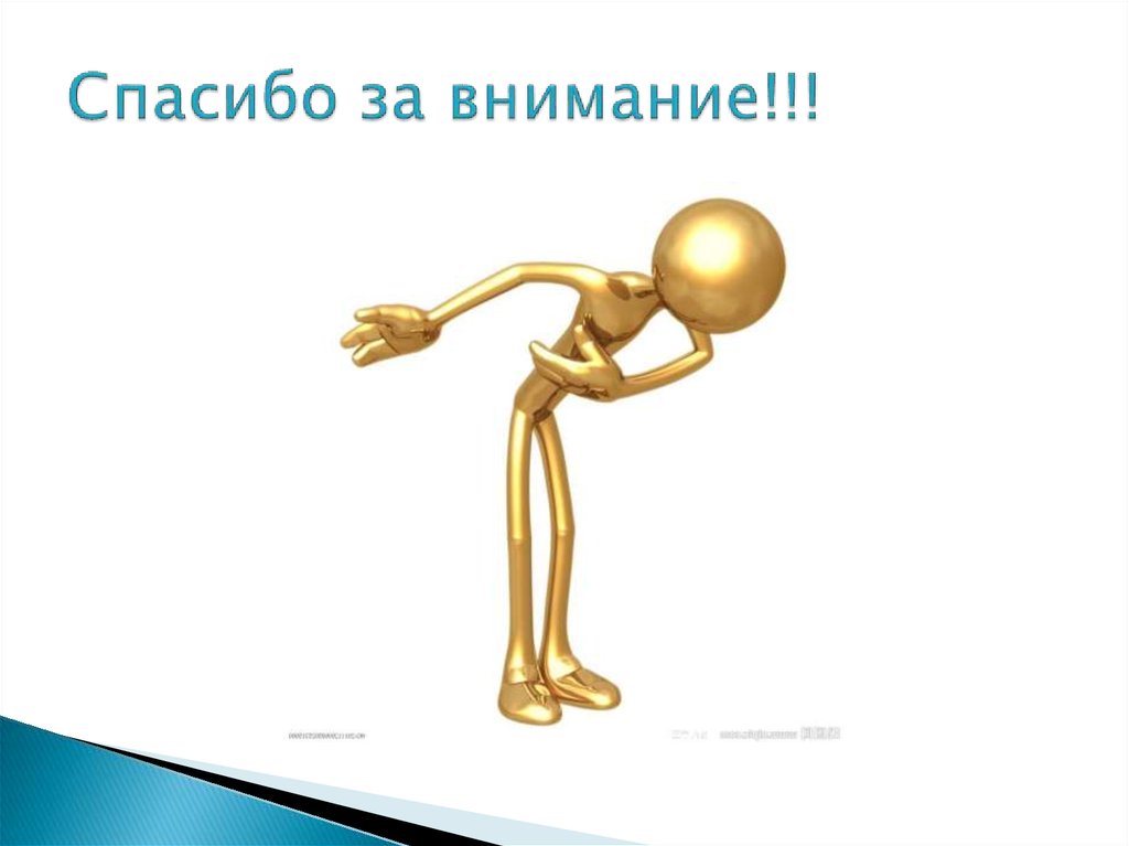 Спасибо за внимание!!!