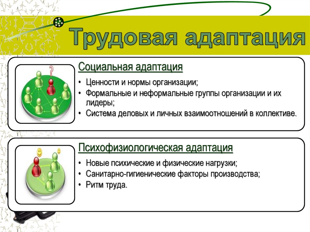 Трудовая адаптация персонала презентация