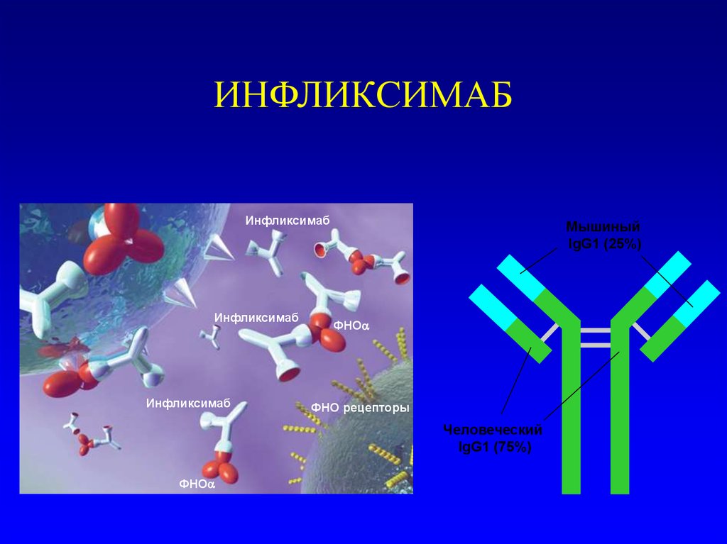 Инфузия инфликсимаба. Инфликсимаб. Инфликсимаб механизм. Инфликсимаб фармакология. Инфликсимаб (ремикейд) механизм действия.