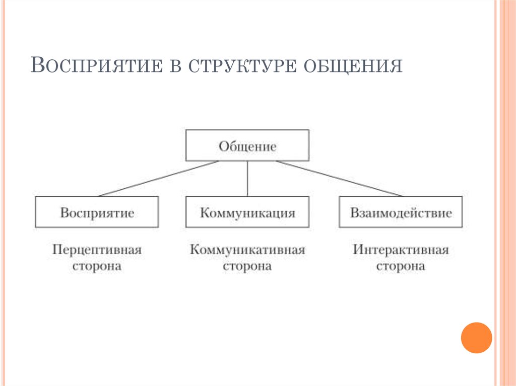 Роль восприятия. Перцептивная. Структура процесса общения. Восприятие и понимание в процессе общения. Структура процесса восприятия. Функции восприятия в процессе общения в психологии.