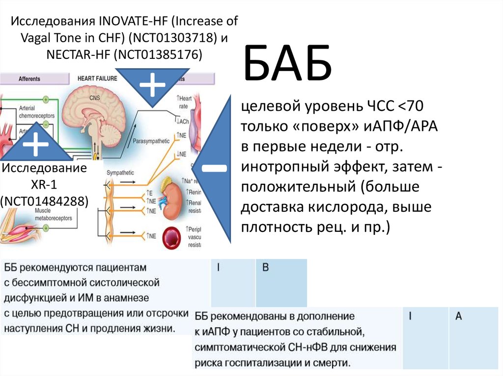 БАБ целевой уровень ЧСС <70 только «поверх» иАПФ/АРА в первые недели - отр. инотропный эффект, затем - положительный (больше